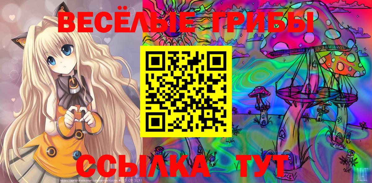 Дальнегорск  Галлюциногенные грибы прущие грибы  Вход с VPN 